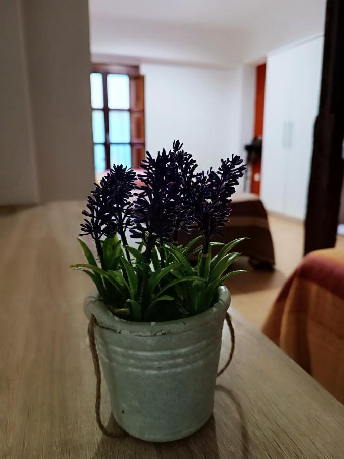 Corrala De San Anton. Sencillo Apartamento En Pleno Centro Granada Eksteriør bilde